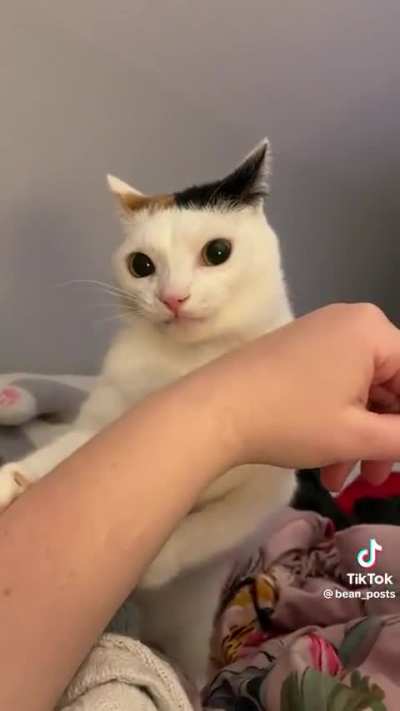 Why are you doing this?