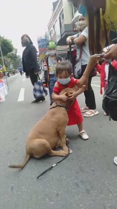 Mom, I want this dog!