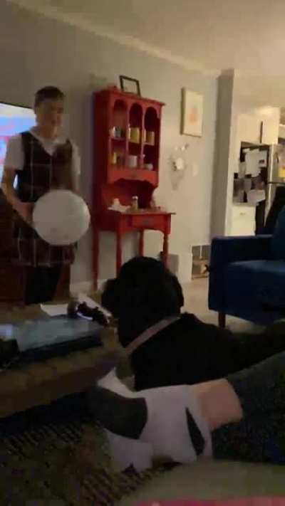 Pupper Doggo and her balloon
