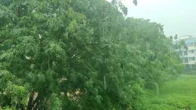 Monsoon rain started again today after a week
