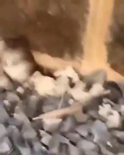 Саспенс