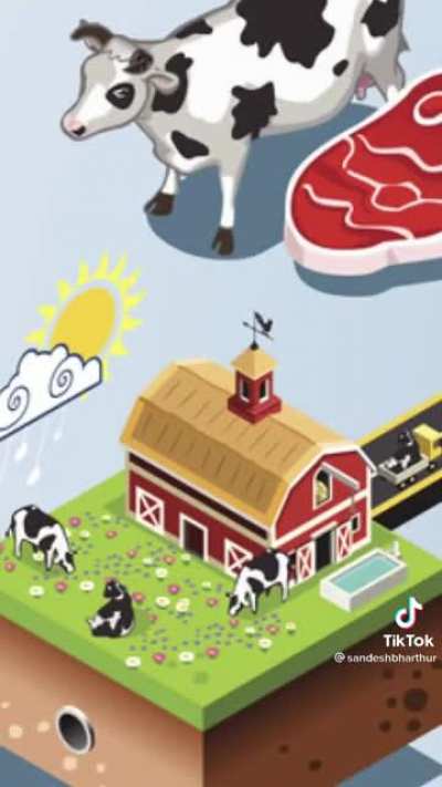 Why Going Vegan Actually Kills More Animals.