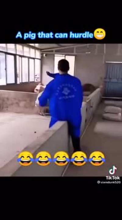 Никак<wbr>ого вам бекона!