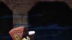 Esidisi eats dynamite and fucking dies