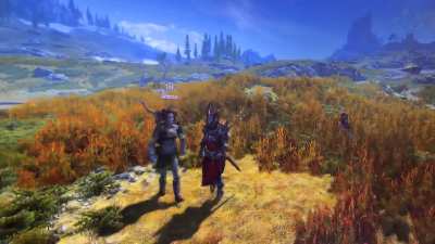 This is the best little change that has made the game so much more fun for me. Having more then one follower is just so fun. Reminds me of Dragon’s Dogma.