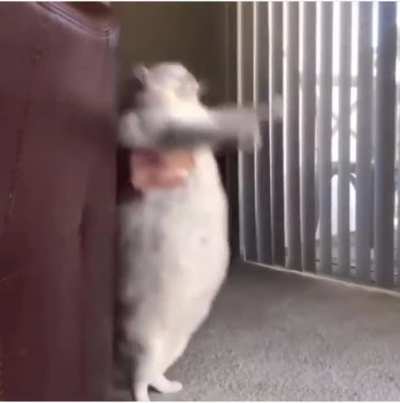 He Comes