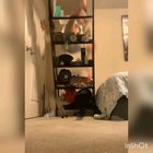He is spideman!