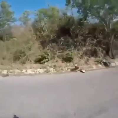 High 5 on a moped