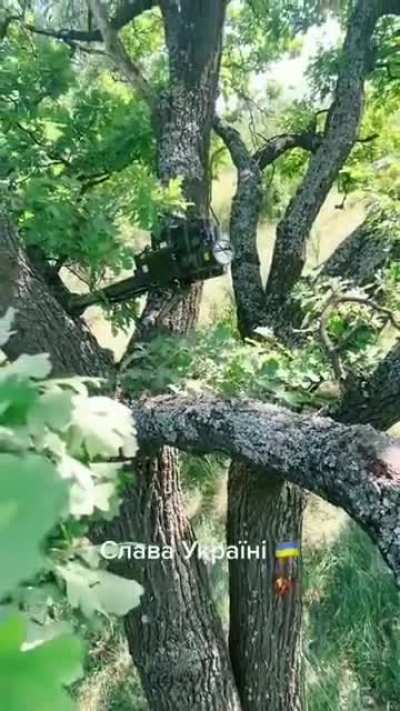 UAF sitting in the branches with their Iglas. (Music by source.)