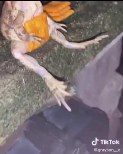 Blursed mate