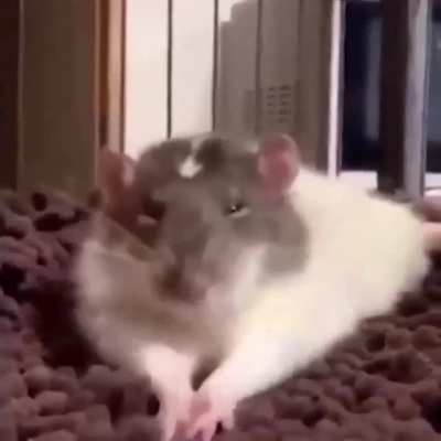 💕💕💕