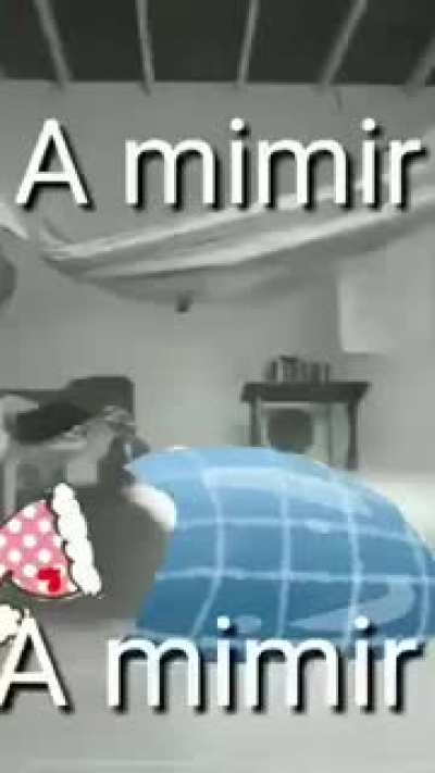 Mimir