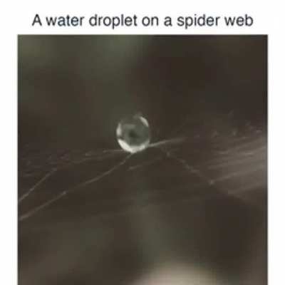 Wait for it
