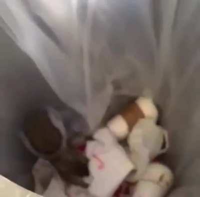 Don’t look into trash cans