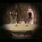 YOu WiLL Die