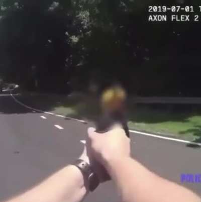 Man with knife goes after police officers and refuses to stop