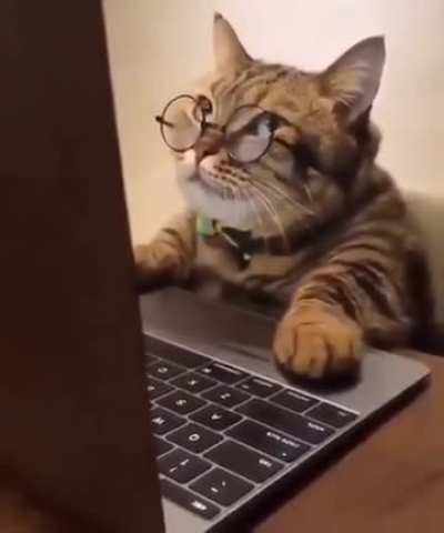 Me looking for daily news on Whole Lotta Red on this sub