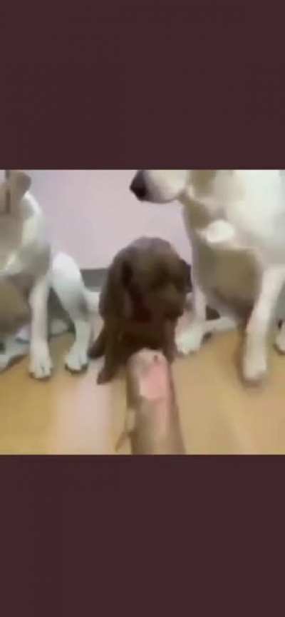 X9