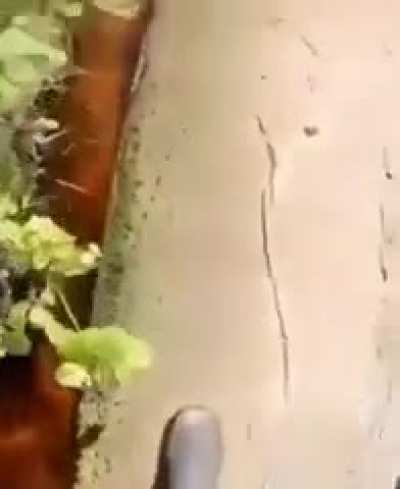 hi