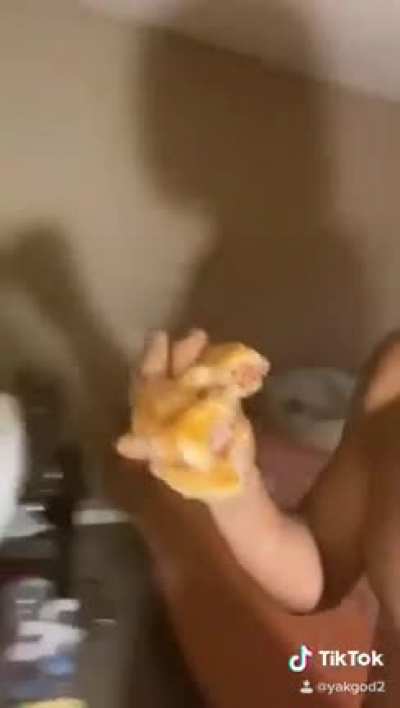 Luther Burger
