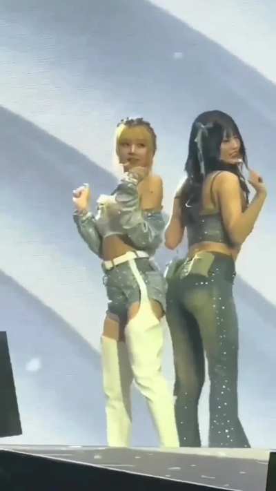 Chaeyoung & Momo