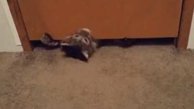 Они жидко<wbr>сть
