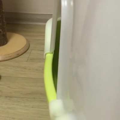 Korean cat go REAOW