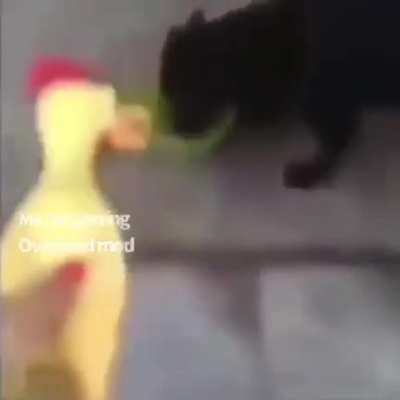 It be like that sometimes