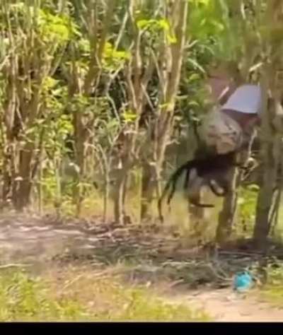 Bro fighting for his life