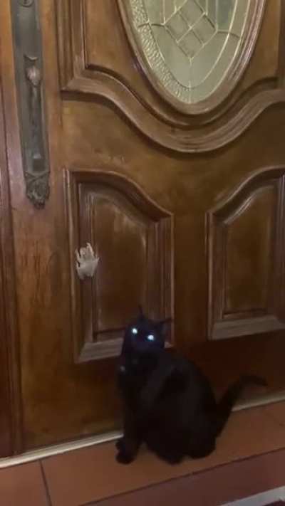tap-tap