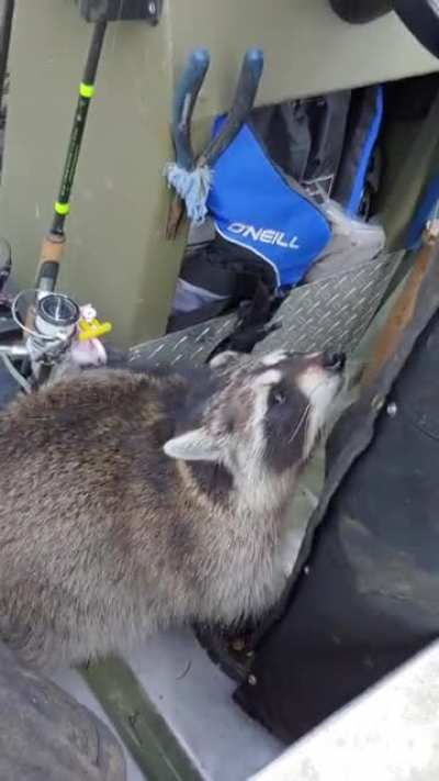 Ms.Lucy gone fishing!!!