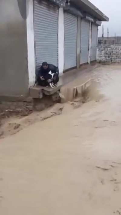 Helping a dog.