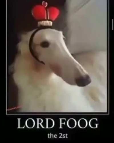lord foog the 2st