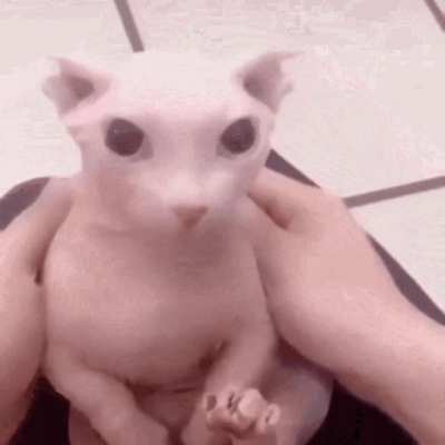 him