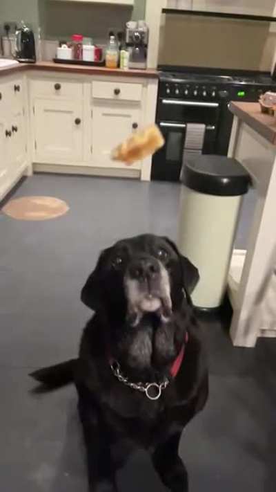 Oscar’s reflexes aren’t what they used to be