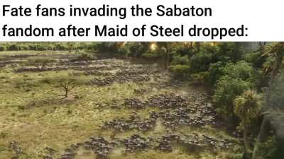 The great Jeanne invasion