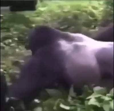 Mother Nature