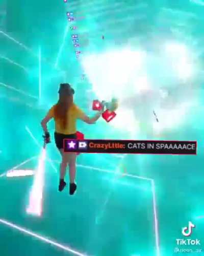 Cat in Space