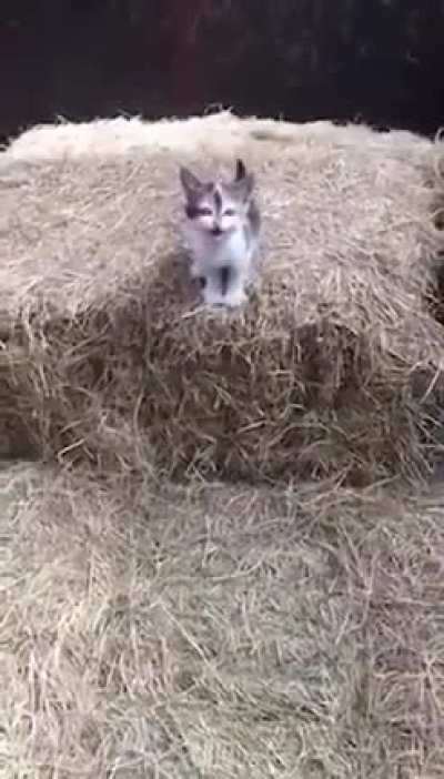 Is it okay?