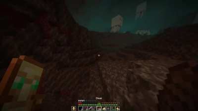 My first experience in the new nether.