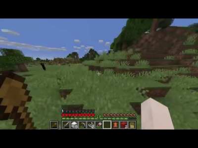 Oh thats an enderman right