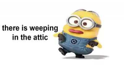 Maybe I can be the vid again by showing the funniest memes