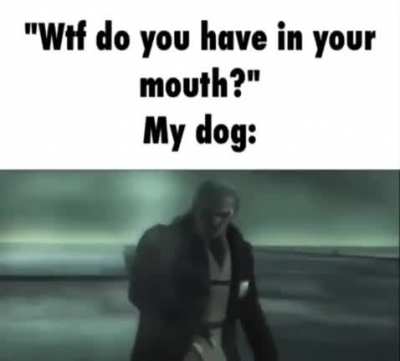 Just saw this on discord
