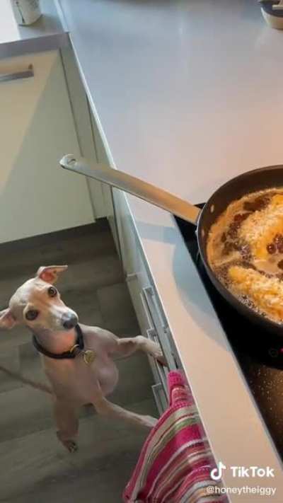Just a bite please
