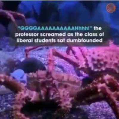 king crabs 🥶