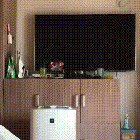 Sneak Level 100
