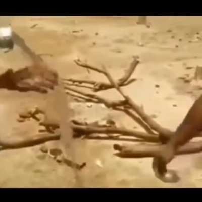 always wash your hands
