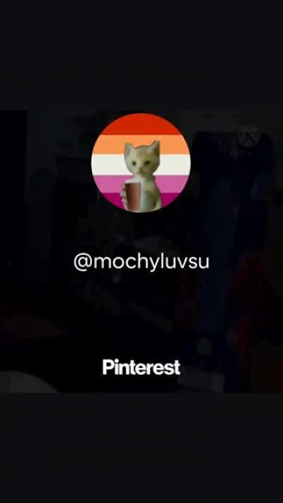 my sushi cat people need me