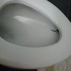 I sat on that toilet for about 10 or 15 minutes. After I flushed I noticed this.