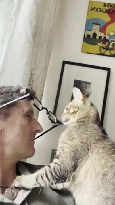 My SIC/Aby Hot Rod needs glasses